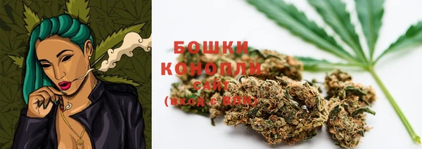 трава Аркадак