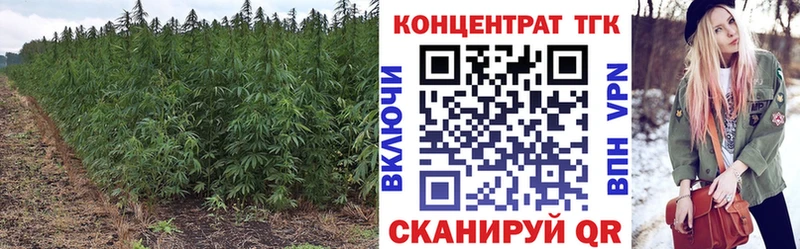 Дистиллят ТГК THC oil  продажа наркотиков  Полярные Зори 