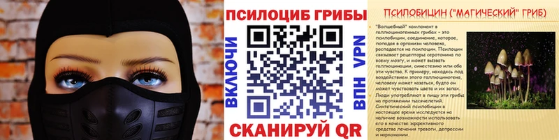 Псилоцибиновые грибы Psilocybe  hydra ссылка  Полярные Зори 